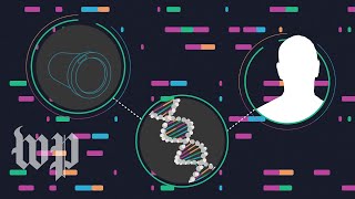 Your at-home DNA test results could be used to solve cold cases