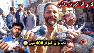 Lahore Lari Adda kabootar mandi لاری اڈا کبوتر منڈی || Pigeons Gallery ||