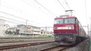 JR貨物　EH500-30牽引3055ﾚ　与野付近通過　2015/09/01