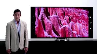 Sony BRAVIA 4K TV: An Introduction