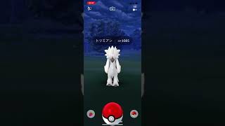 ポケモンgo 野生のトリミアンゲットチャレンジ　ファッションウィーク