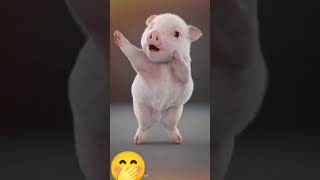 FUNNY DANCING PIG #shortvideo #funnyvideo #trendingshorts #asmr #trendingshorts