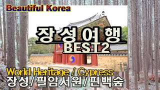 장성필암서원 World Heritage 편백숲 Cypress Beautiful Korea 장성여행 축령산 김인후 묵죽도 UNESCO 세계문화유산 여행나그네 TravelGilson