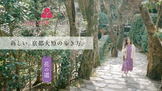 京都大原・散策コース『花の道』