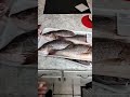 I went to Costco and bought a lot of Red Snapper Fish #How should I cook it??