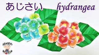 【折り紙】あじさいの折り方【音声解説あり】 Origami Hydrangea 6月梅雨シリーズ#5 / ばぁばの折り紙