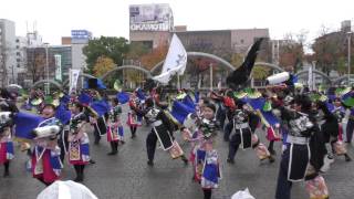 皇學館大学″雅″（祷雅奏龍）  2016.11.27四日市よさこい やったろ舞4K動画