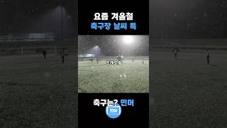 축구에 미친 사람들