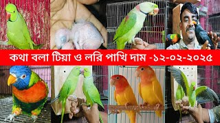 কথা বলা টিয়া ময়না পাখির দাম জানুন ll Ringneck Parrot Price In Bangladesh