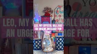 LEO, MY CRYSTAL BALL HAS AN URGENT MESSAGE FOR YOU!