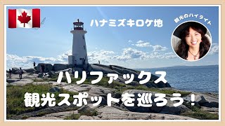 絶対行きたい❗️ハリファックスおすすめの観光スポットをご紹介