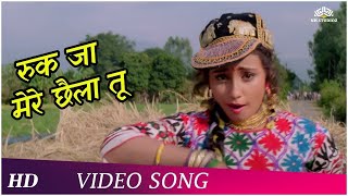Ruk Ja Mere Chhaila Too| Kumar Sanu | Ishq Mein Jeena Ishq Mein Marna (1993) | Hindi Song