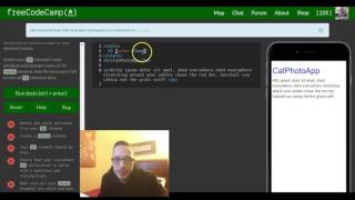 Use CSS Selectors to Style Elements, freeCodeCamp review html & css