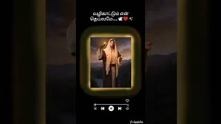 vali kattum en deivamea / வழிகாட்டும் என் தெய்வமே/ tamil Christian devotional song