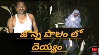 #gost hunting || జొన్న పొలం లో దెయ్యం ||#deyyam #gost videos #gosthunt