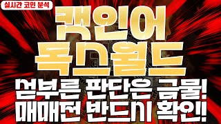 캣인어독스월드 : 섣부른 판단은 금물! 매매전 반드시 확인!