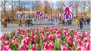 Keukenhof : สวนดอกไม้แห่งยุโรป