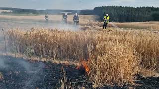 Großer Flächenbrand bei Gösenroth