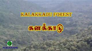 Kalakkadu Forest