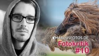 FOTOKRITIK #10 Männer Portraits, Windhunde und Herbsttöne