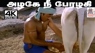 Azhage Nee Perazhagi இசைஞானியின் இசையில் மனோ பாடிய பாடல் அழகே நீ பேரழகி