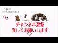 【コーギー】の めっちゃ可愛い動画集　2018