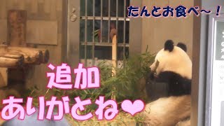 10/22腹ぺこシャンシャン❤飼育員さんの追加にガッツく！お腹ペコペコだよ～！上野動物園【パンダ生活チャンネル】