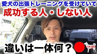 ドッグトレーナーの指導を受けて成功する人・しない人　その違いは一体何？　PSDドッグサポートセンター　いぬプロ　inupro  犬のしつけ　教育　出張トレーニング