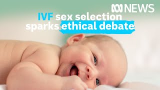 Should sex selection IVF be available in Australia? | ABC News