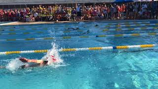 2018 NVSL All Star Relays: Boys 8-Under Free Heat 2