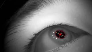 [VisualCamp] The World Fastest Eye Tracking Algorithm