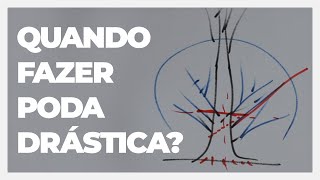 PODA DRÁSTICA EM BONSAI