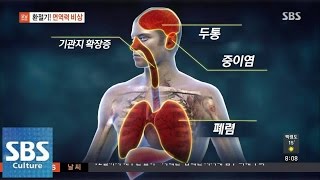 환절기! 면역력 비상 @모닝와이드 141008