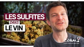 Ce que vous devez savoir sur le SOUFRE (les sulfites) dans le vin (Leçon n°151)