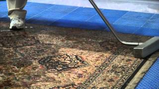 Karastan Rug Pt 3 Submersion Cleaning