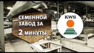 Семенной завод за 2 минуты