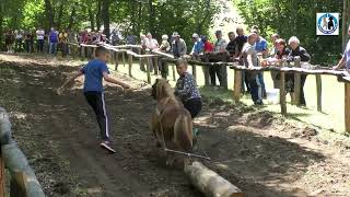 Vuk Smiljanić kačio u Vrbljanima svog pony-a koji ga nije oborio