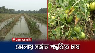 লবনাক্ত পানি থেকে ফসল রক্ষায় অভিনব পদ্ধতিতে চাষাবাদ! | Bhola Cultivation | Jamuna TV