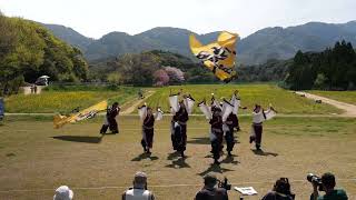 周南誠友会　川棚菜の花よさこい祭り２０２３　お祭り広場会場　４ｋ