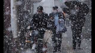 高知市も雪模様　２０２１年２月１７日午後４時半ごろ