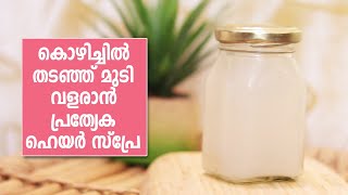 Natural Method To Boost Hair Growth | മുടി കൊഴിച്ചിൽ തടയാൻ ഈ സ്പ്രേ ഉപയോഗിച്ചോളൂ