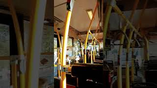 travelling in Brisbane transport | Brisbane bus Brisbane Australia