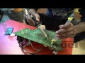 Solder & Desolder with Soldering Iron- Noel India