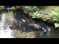 japanese garden tour in portland 日本庭園ツアー　ポートランド