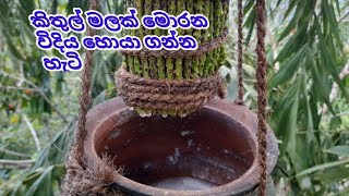 How to make a kithul flower /කිතුල් මලක් මොරන විදිය /natural alcohol/toddy tepin/Moniktilan