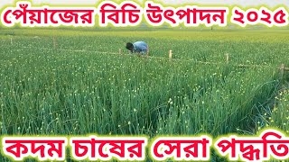 কদম চাষের সেরা পদ্ধতি | পেঁয়াজের বিচি চাষ করা হয় যেভাবে | #onion #onionfarming #skm_Bangladesh