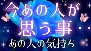 超ストレー卜な想い!!🩷🩵今あの人が私&僕の事をどう思ってる?あの人の気持ち🌈タロット&オラクル恋愛鑑定🩷🩵🧡