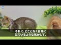 【感動】行きつけのスナックでヤクザ3人に絡まれた俺。ヤクザ「睨んだなコラ！ボコボコにしてやる！」すると大慌ての美人ママがヤクザに「その方に手を出すと命が危険です」→5分後…