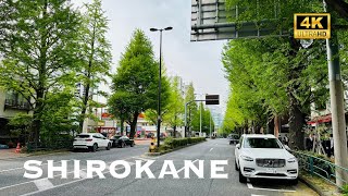 [4K] SHIROKANE in Tokyo 💛 Walking Tour / 白金台 白金高輪 散歩