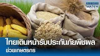 ไทยเดินหน้ารับประกันภัยพืชผลช่วยเกษตร I Business Watch I 13-01-68